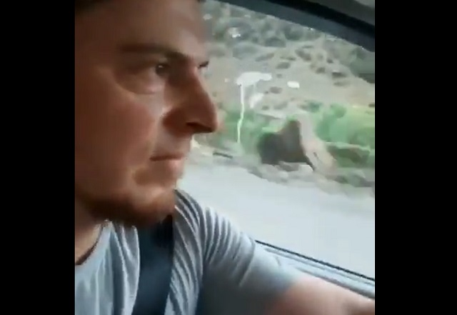 Случай на дороге в горах Дагестана