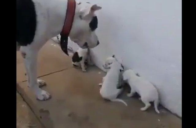 Накосячили? Отвечайте!