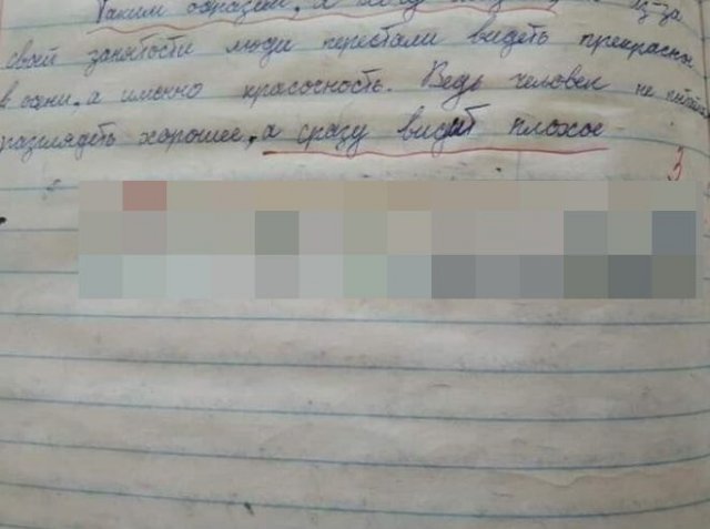 Учительница оставила некорректное и странное замечание под сочинением школьника