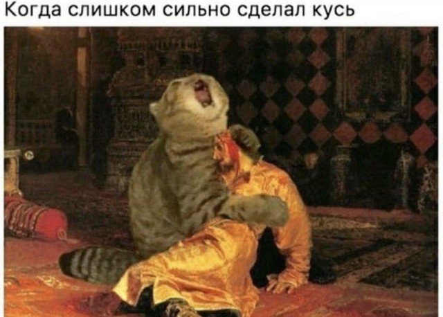 Шутки и мемы с просторов сети
