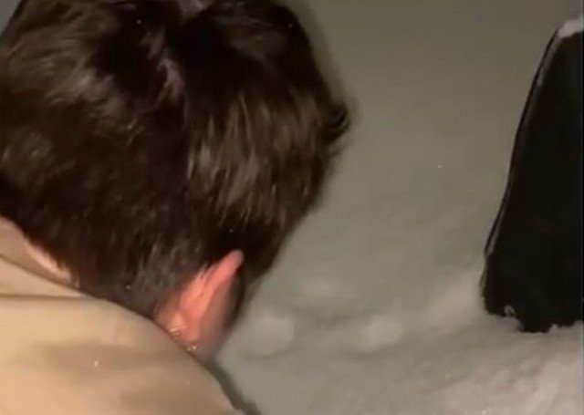 Зимнее развлечение, которое знакомо каждому