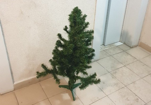 Странная кража елки в Нижнем Новгороде с неожиданным финалом
