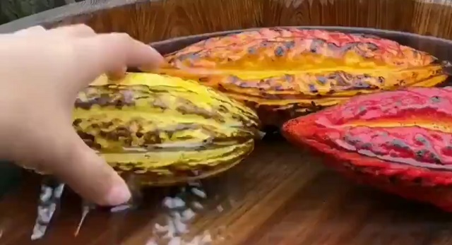 Процесс создания шоколада с самого начала