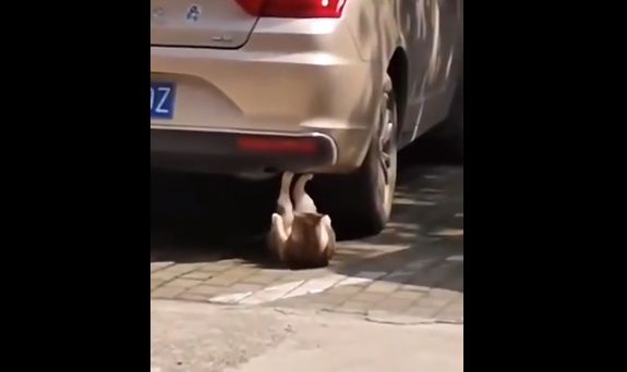 Настало время готовиться к лету