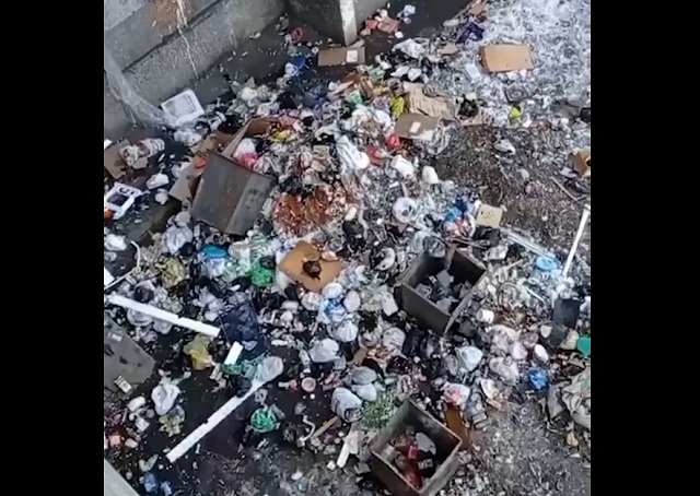 Просто вы свиньи!
