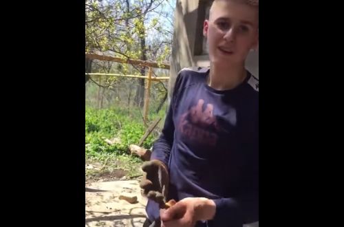 Сколько в метре сантиметров!