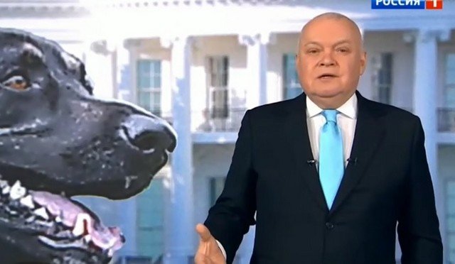 Дмитрий Киселев связал поведение Джо Байдена с псом Мейджором