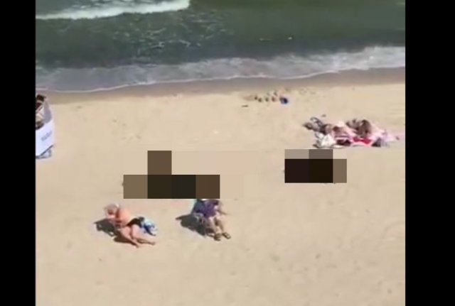 Отдыхающих на пляже Балтийского моря навестили неожиданные и забавные гости