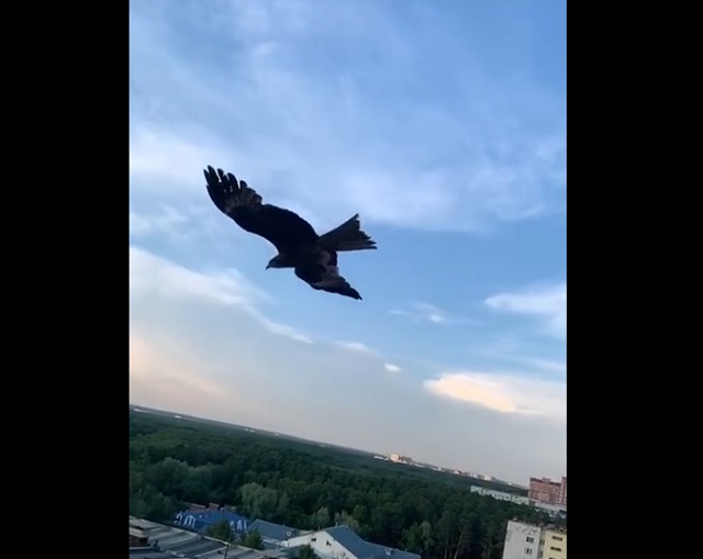 Отличный пас