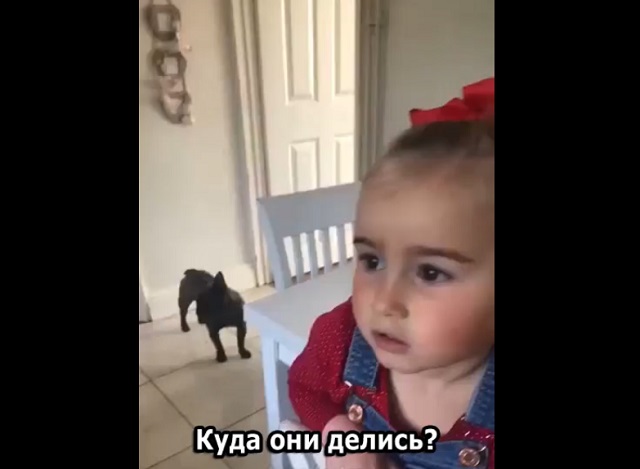 Девочка рассказала очень убедительную историю о том, кто съел все пирожные