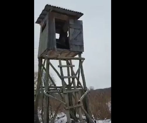 Охотник, которому не нужна лицензия
