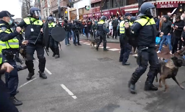 В Амстердаме полицейские спустили собак на митингущих против коронавирусных ограничений