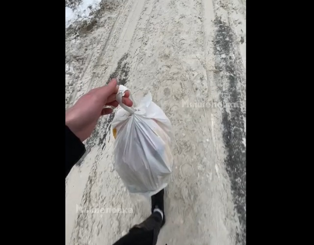 Состояние мусорок на 1 января