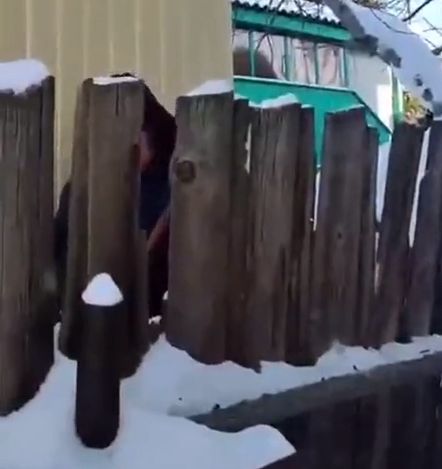 Это ваш снег