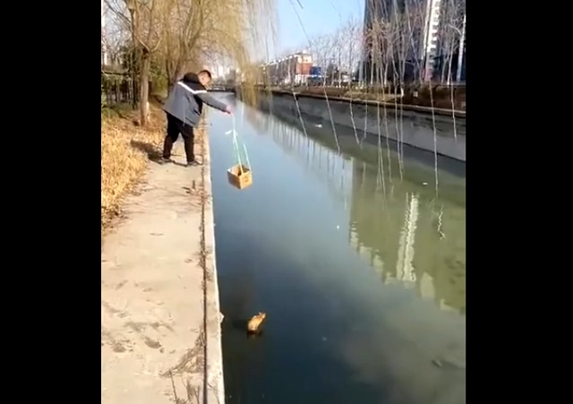 Операция по спасению "рыжего"