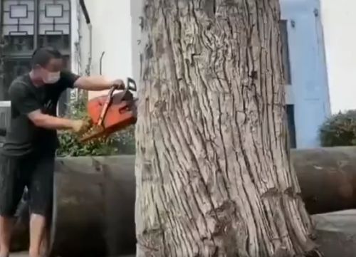 Скульптура из дерева, работает мастер