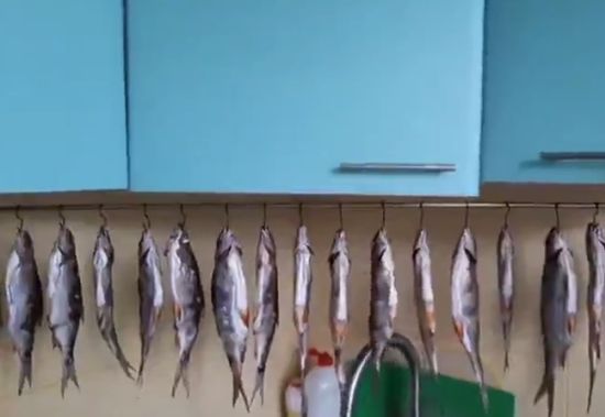 Ловля рыбов в затруднённых условиях