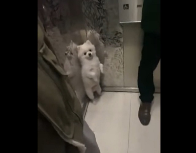 Окружён, но не сломлен