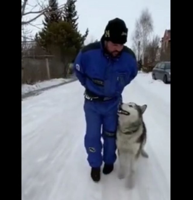 Прогулка с послушным другом