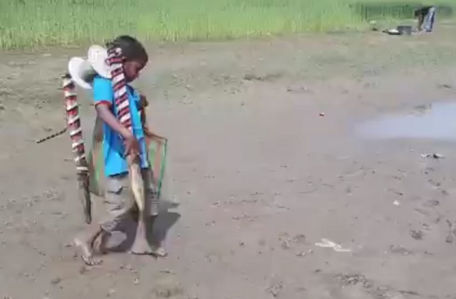 Молодой рыбак и отличный улов