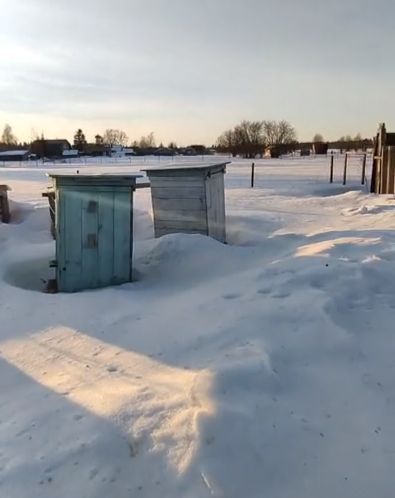 Терпели всю зиму и не какали