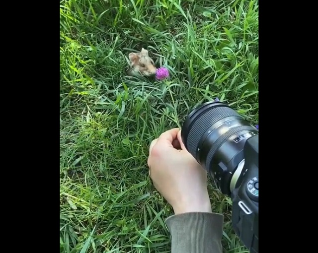 Будни фотографа дикой природы