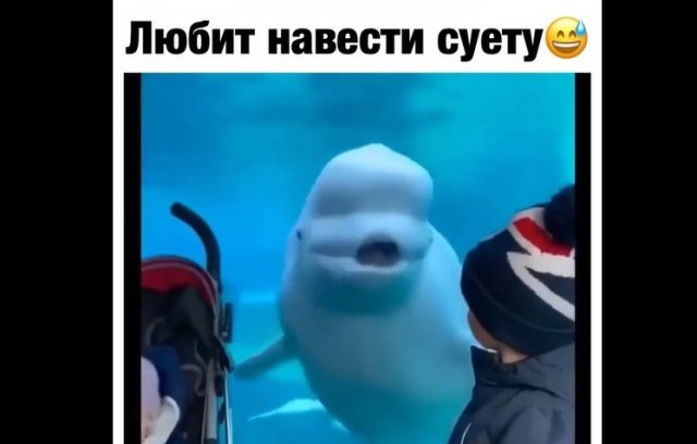 Парень, который любит навести суету
