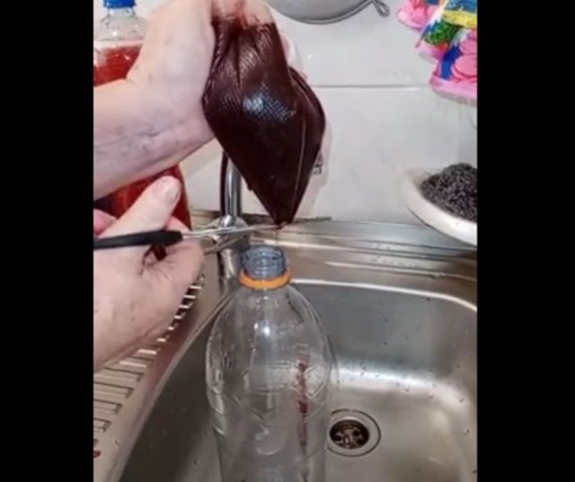 Не получилось сделать домашнюю "Колу"