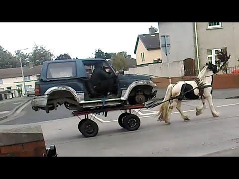 Funny Fails Around The World!