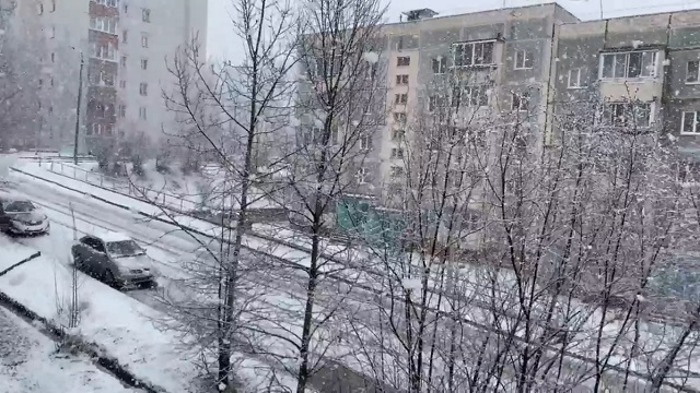 Тем временем в Амурской области