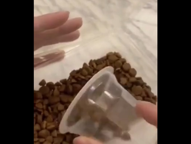 Не стоило ей издеваться над шпицем