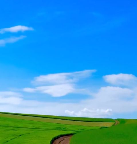 Путешевствие к Windows XP
