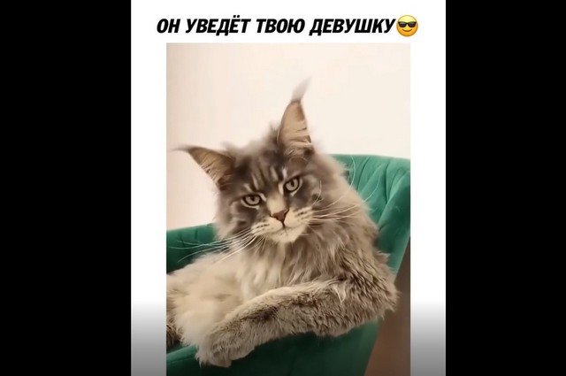 Горячий парень, который уведет твою девушку