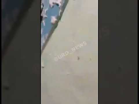 Дай дураку монтажную пену...