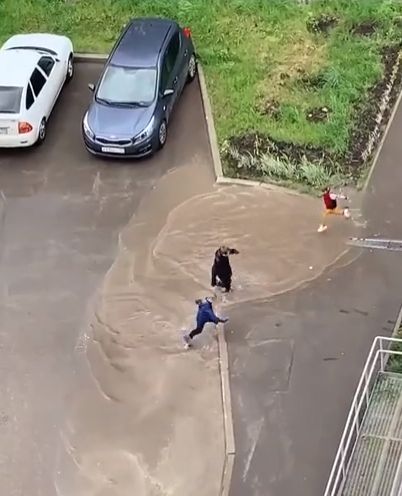 Аквапарк в Перми