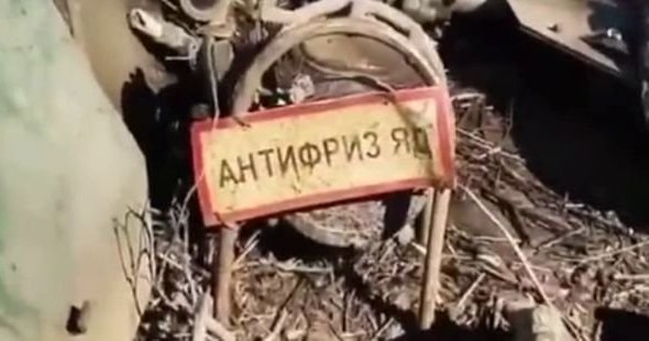 Бесполезные факты - 146