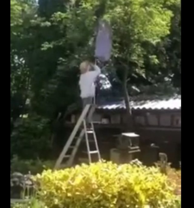 Получил ульем по голове