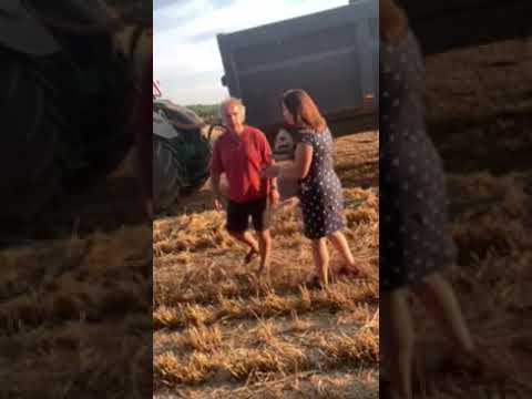 Дурак в поле пшеницы