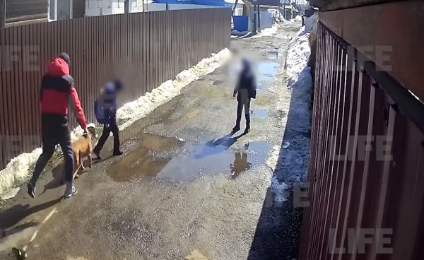 Моя пуся не кусается