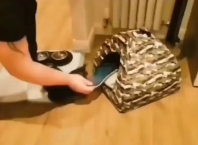 Очень запасливый щенок