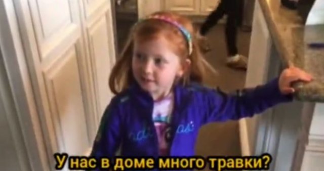 Девочка рассказала учителям в школе, что её родители выращивают слишком много травки