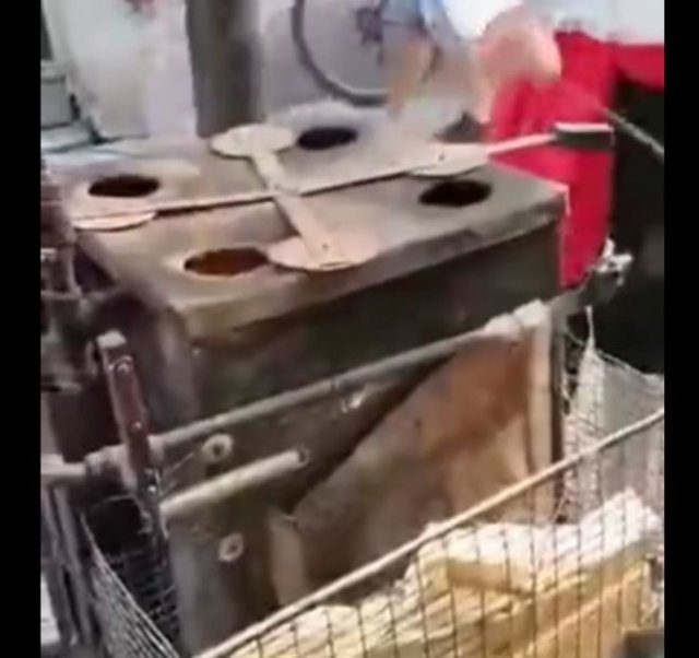 Велосипед с необычным двигателем