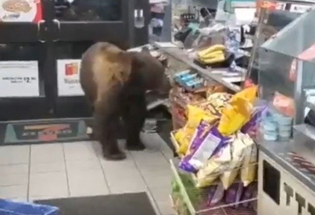 Покупатель, который никогда не платит за товар