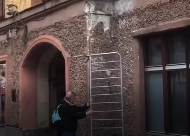 Девушка предотвратила кражу кота Елисея на Малой Садовой в Петербурге