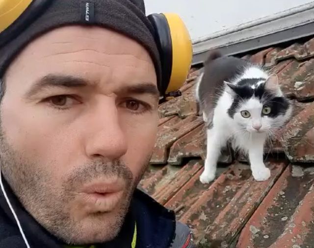 Парень выучил кошачий язык и шокировал кота