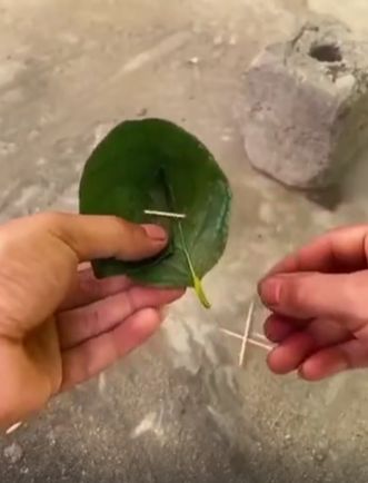 Совет по выживанию на всякий случай⁠⁠