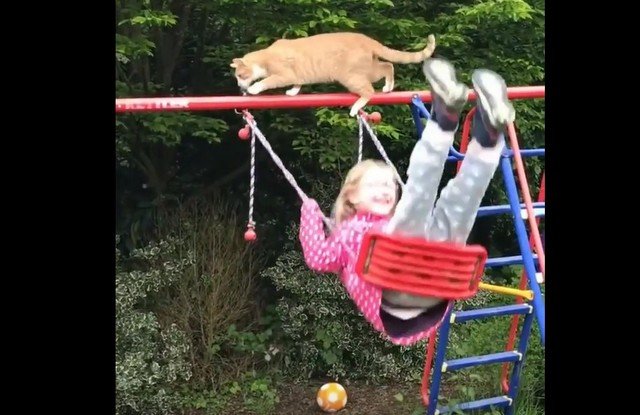 Когда одно неосторожное движение ломает всю систему