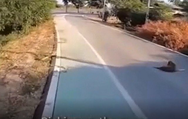 Лучший мотиватор для занятий бегом