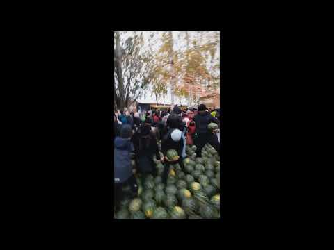 Бесплатная раздача арбузов в Ижевске