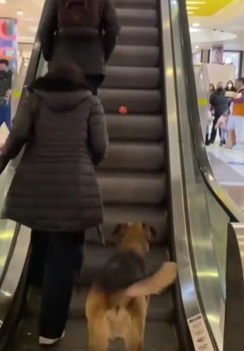 Когда не с кем поиграть⁠⁠